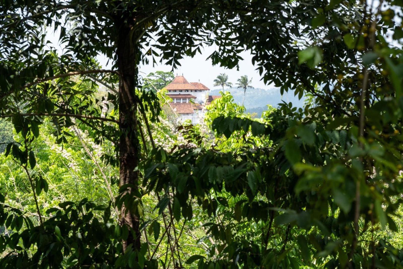 Captain'S Bungalow, Kandy Arawwawala Exterior photo